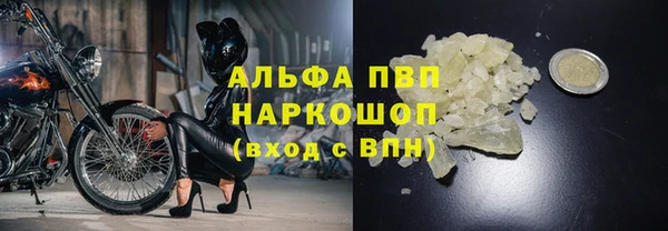 дживик Чита