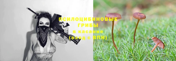 прущие крисы Нижний Тагил