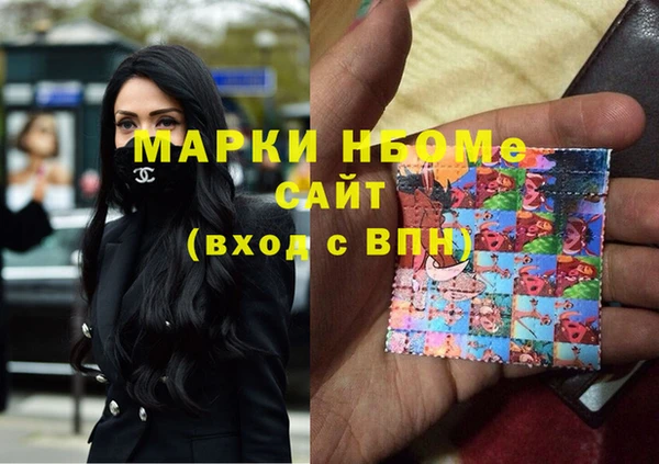 индика Инсар