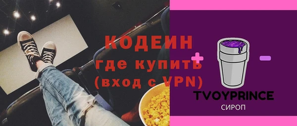дживик Чита