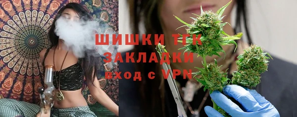 мяу мяу мука Михайлов