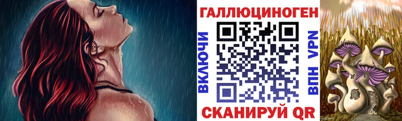 Галлюциногенные грибы MAGIC MUSHROOMS  купить наркоту  Билибино 